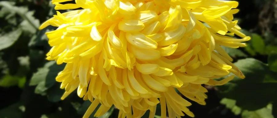 描写风花雪月古诗25首最简单的,关于风花雪月的古诗词