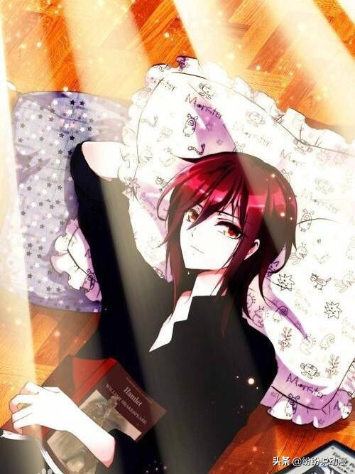 萝铃的魔力百科,萝铃的魔力内容