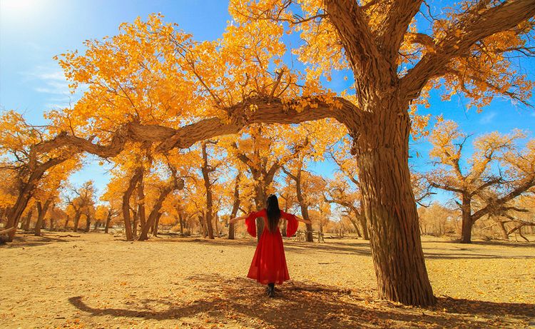 国庆八天怎么玩不遗憾,国庆七天能玩多少个小时