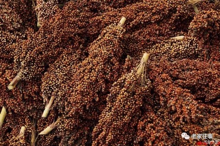 老家的印象和往事 (老家的印象介绍)