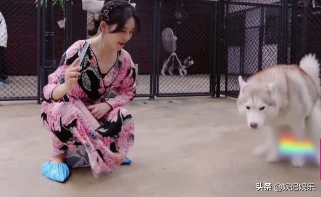 张杰谢娜分别带娃逛商场,张杰谢娜现身被跟拍