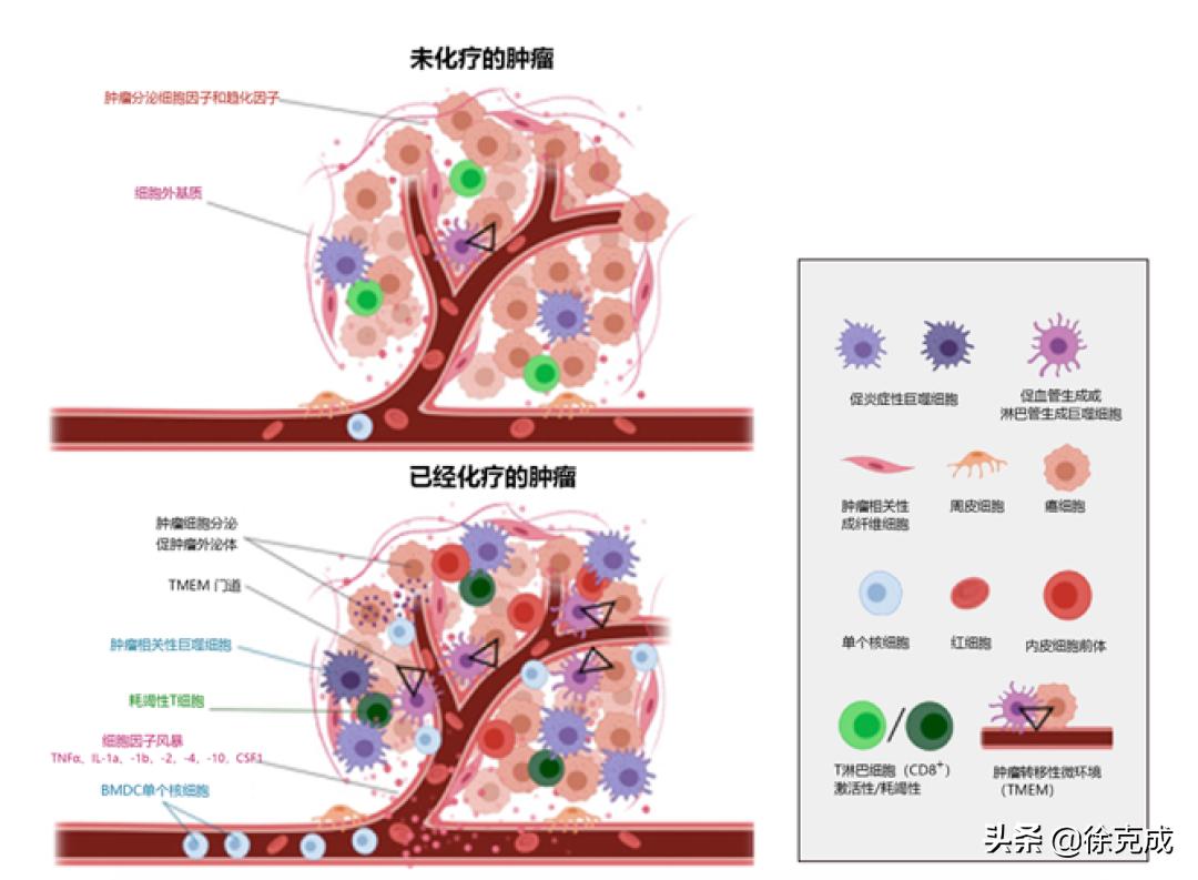 癌症的治疗与预防讲座的心得体会,癌症治疗的最终走向