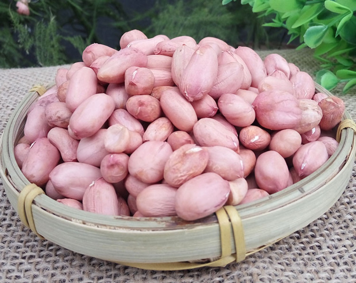 墨鱼黄豆排骨汤海带怎么煲比较好,猪脚墨鱼汤花生眉豆汤