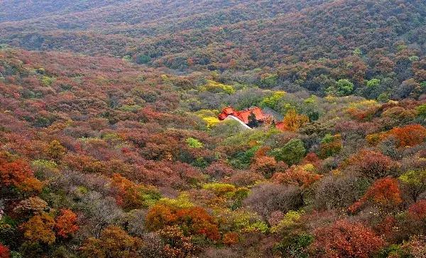 省各旅游景点免门票,四省旅游景点免门票