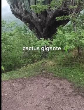 印度为什么贫富差异那么大,印度的贫富差距是多少