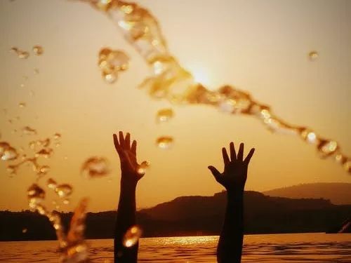 内针，是又一次的看见。（上）