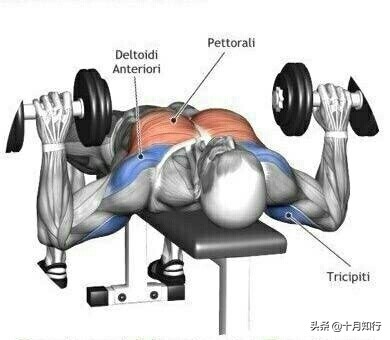 把胸肌练宽,把胸肌练大健身房动作