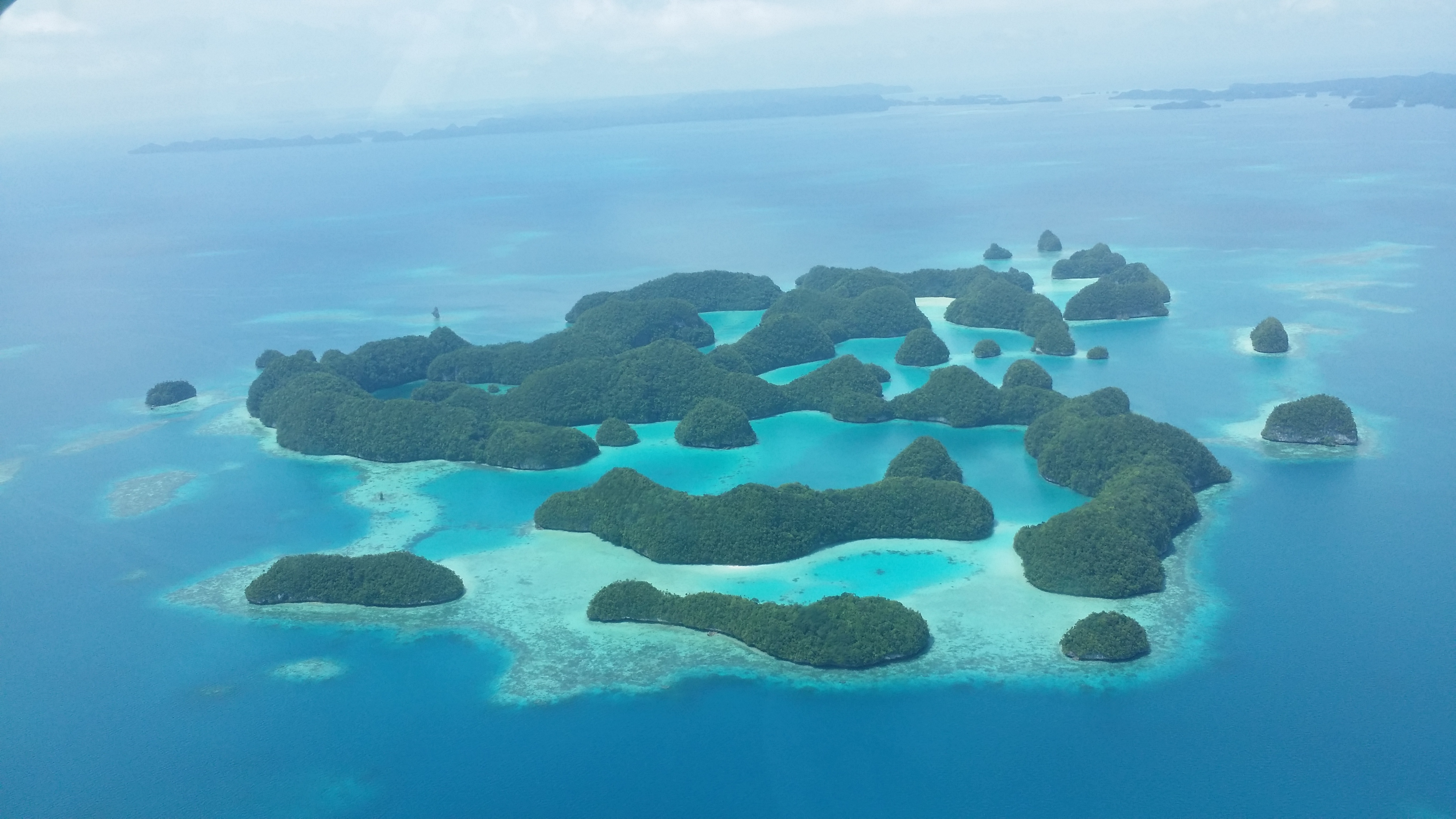 帕劳太平洋水族箱,潜水胜地帕劳水族箱