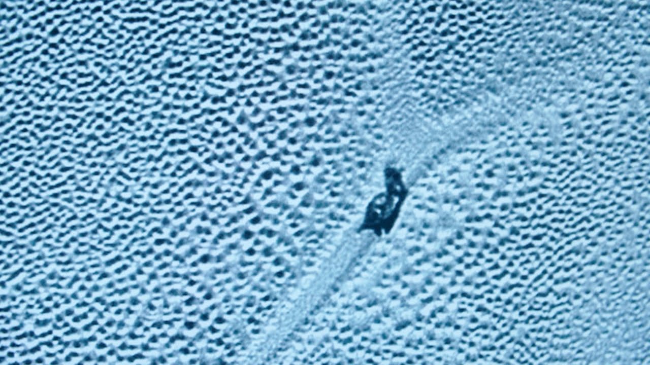 火星上的蘑菇,“外星人”的招呼,历史上5大误解的外星生命信号