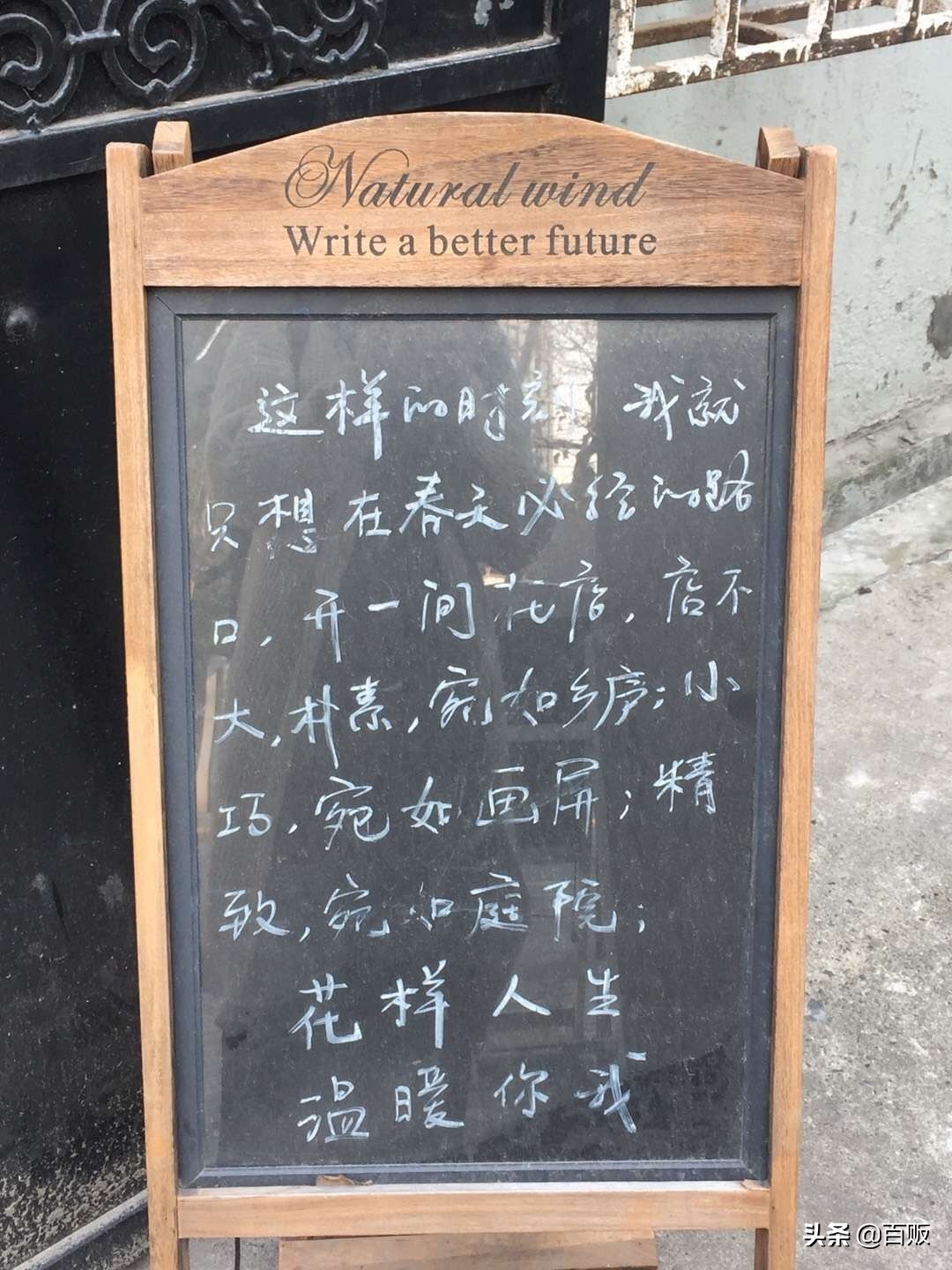 打造森系花房,闹市中的私家庭院花房