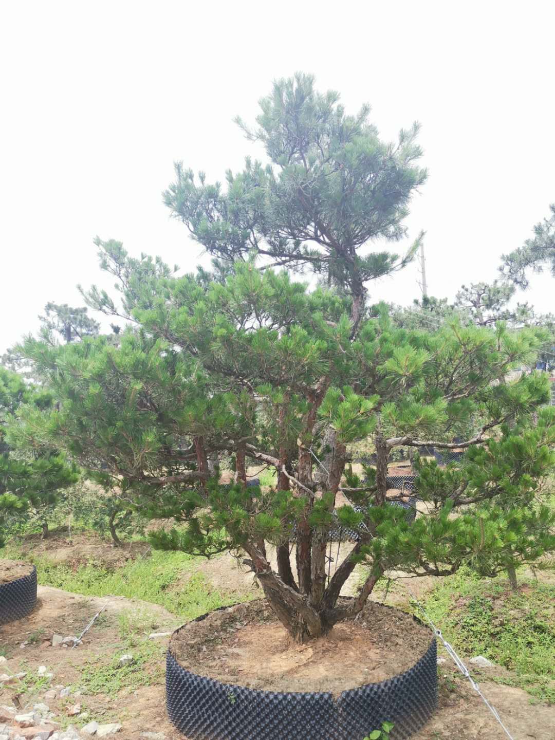 叹为观止自然风景,叹为观止高清图