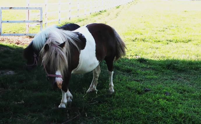 西安孩子暑假集训营青少年,西安夏令营孩子报名攻略