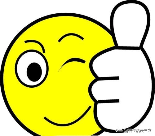 健康好吃的野菜种植,农村野菜种植项目能赚钱吗