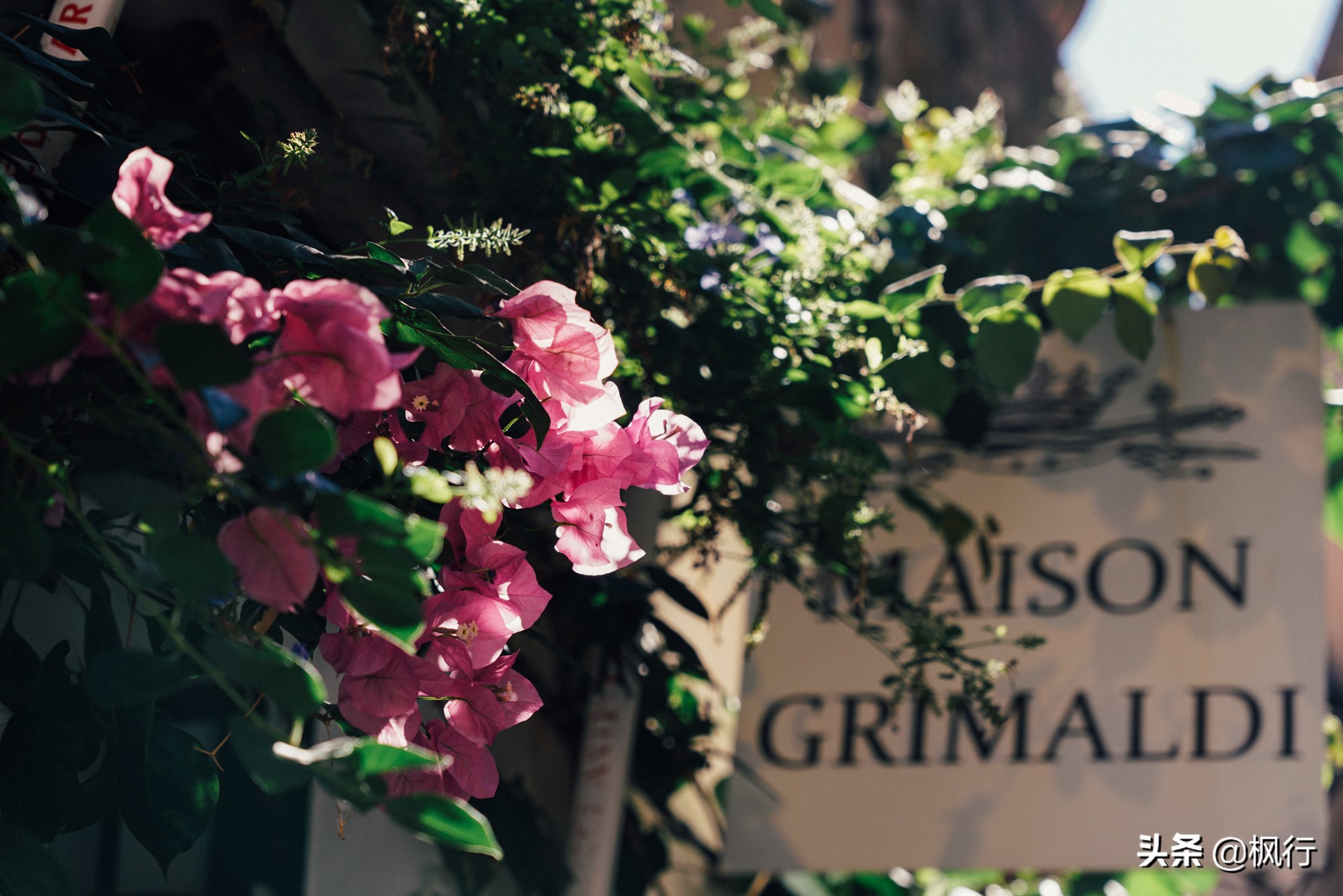 从埃兹到格拉斯，三个小镇教你玩转浪漫南法