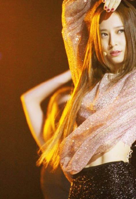 sm东京家族演唱会,2017fx组合日本家族演唱会