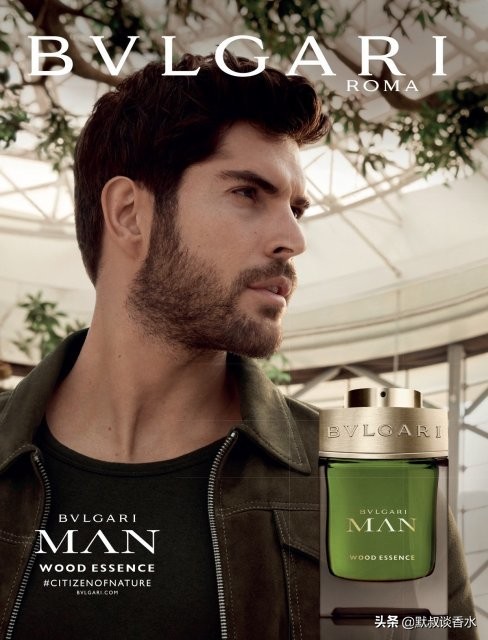 宝格丽城市森林一款默叔不推荐的商业香水