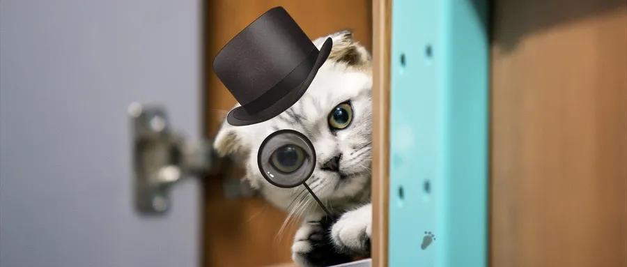 强制隔离戒毒与社区康复的关系,拒绝社区康复可以转为强制戒毒吗