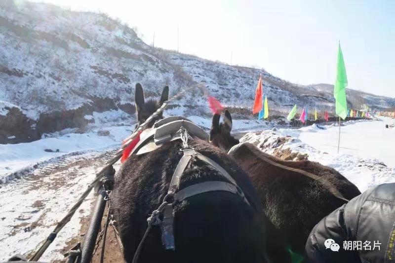 太超前了，朝阳这个地方今天开始天天过大年！想提前过年的请举手