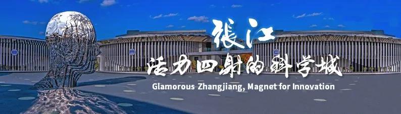 张江掀起浪潮,上海张江生机勃勃