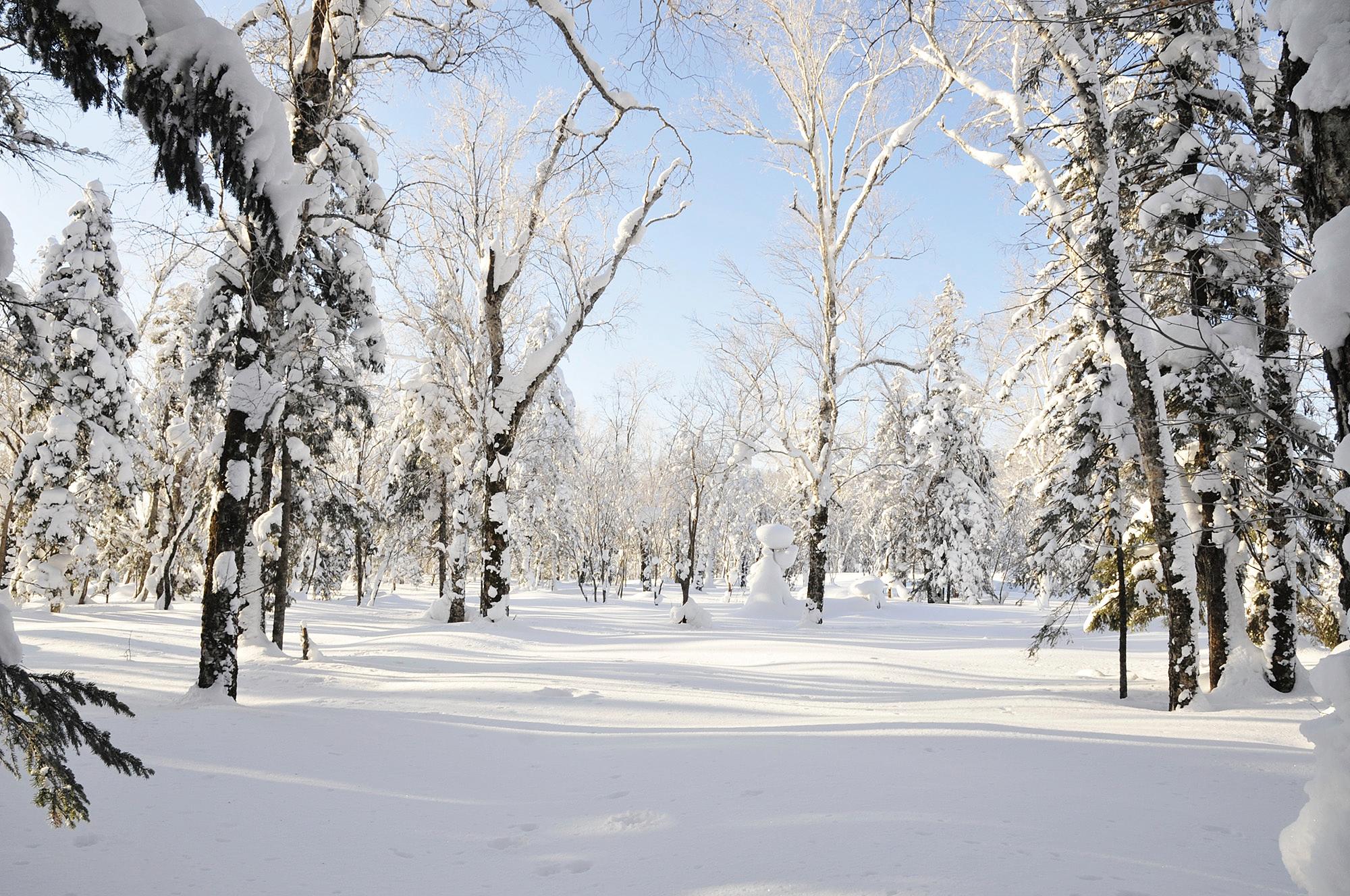 俄罗斯新西伯利亚地理特点,纬度相近气温差异大的原因