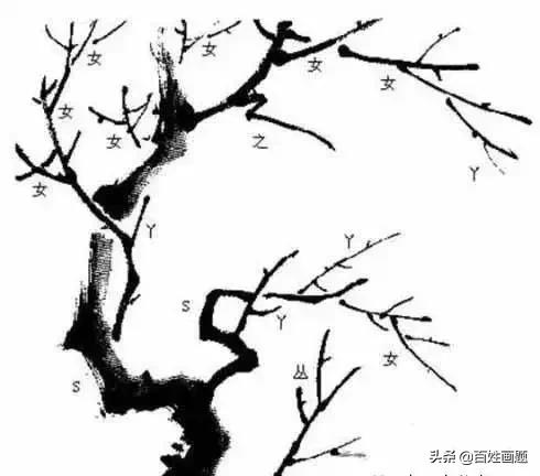 国画梅花画法视频,徐湛梅花画法教程