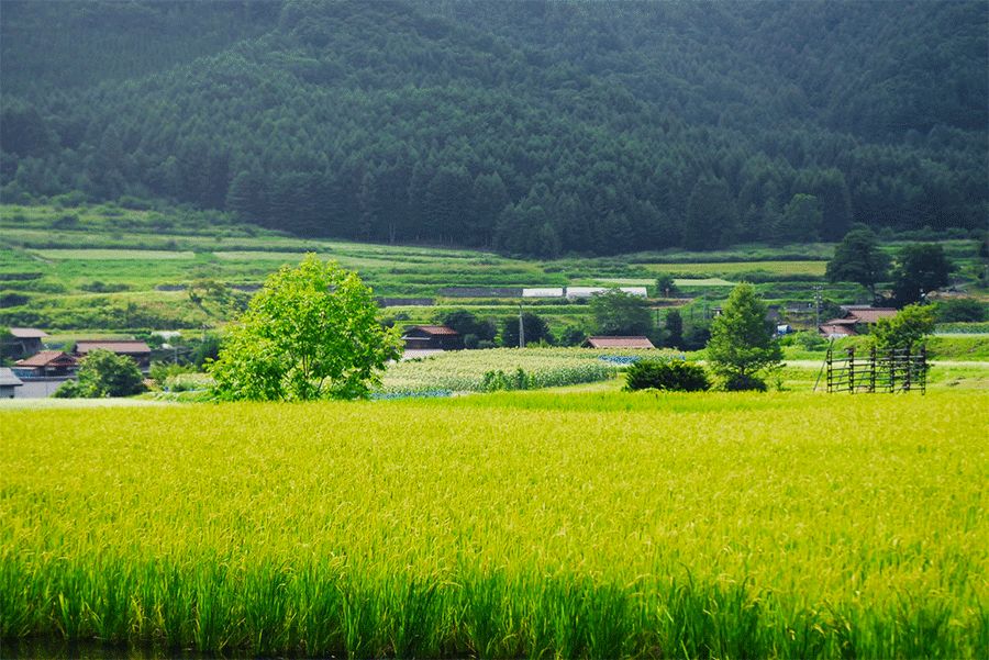 九言修身对联100副,10副简单的对联说尽人生大智慧
