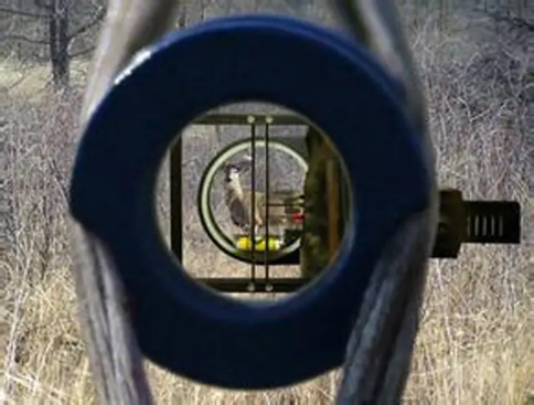 窥孔偏转,复合弓怎么确定窥孔位置