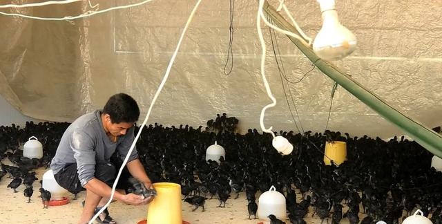 有特色接地气致富快龙岩市长汀县涂坊镇激励性产业扶贫成效明显