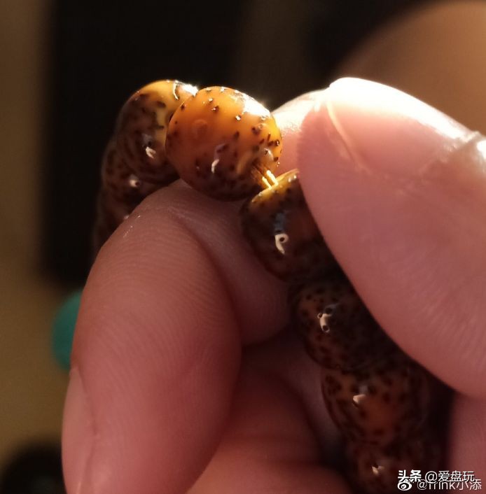一条星月菩提多少钱,全网最高性价比的星月菩提