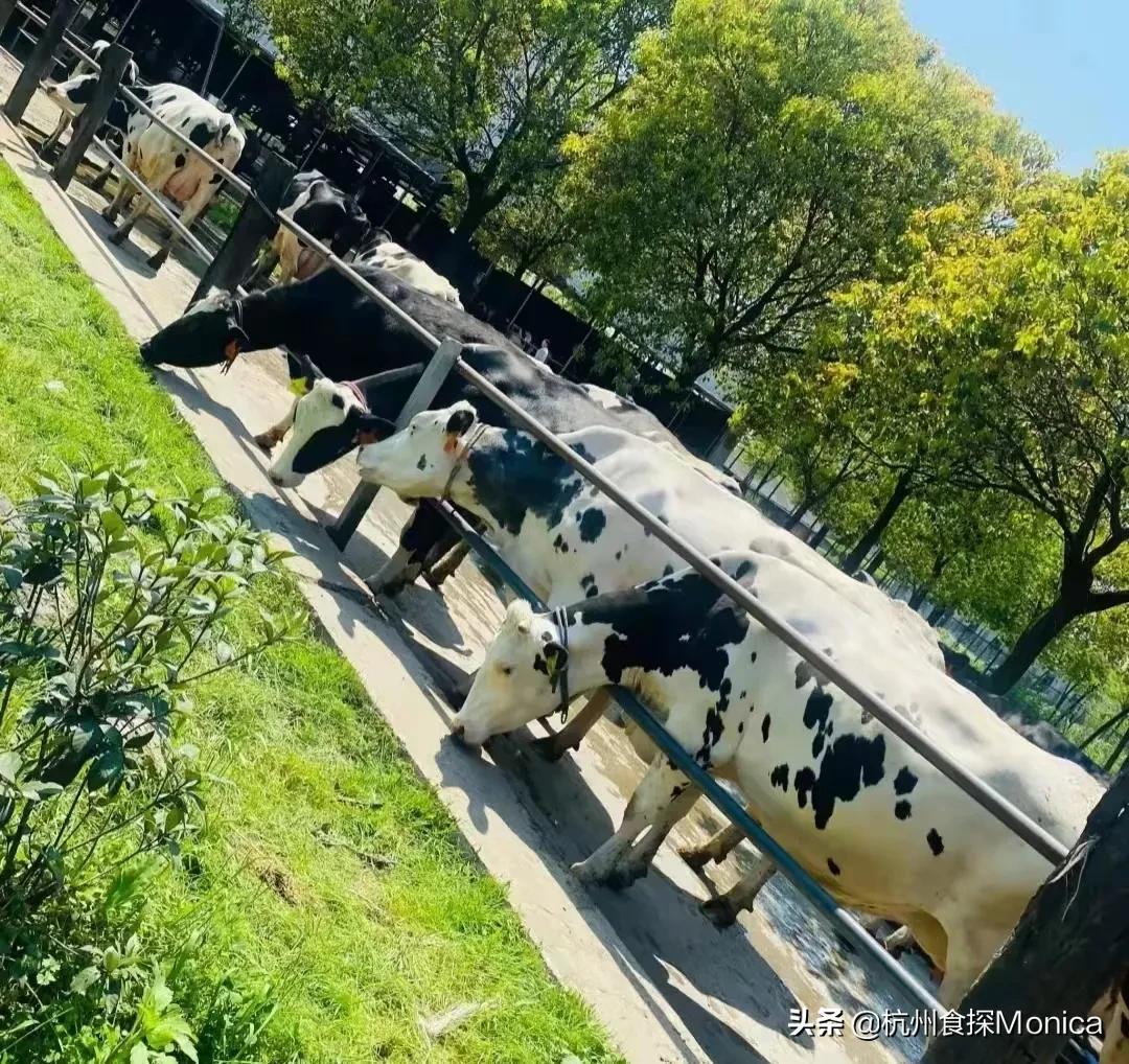 私藏十大好物推荐,杭州周边三天游攻略