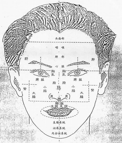 面诊五官与疾病详细讲解,中医面诊小儿五官看健康