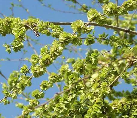 珏山景区旅游攻略,晋城珏山旅游景点大全