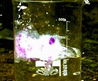 一秒钟看懂化学反应,33种化学原理