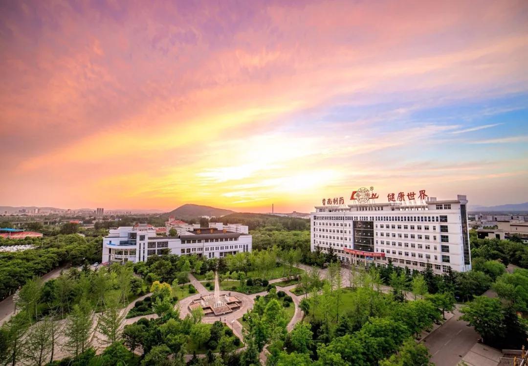 临沂制造业企业排名,山东临沂制造业