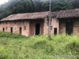 江西跨省抓人赌博案,江西查获网络赌博大案近期