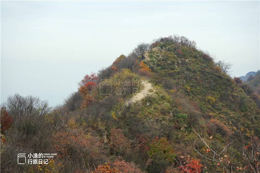最美的风景在路上西安秦岭山脉,藏在西安秦岭的小众秘境