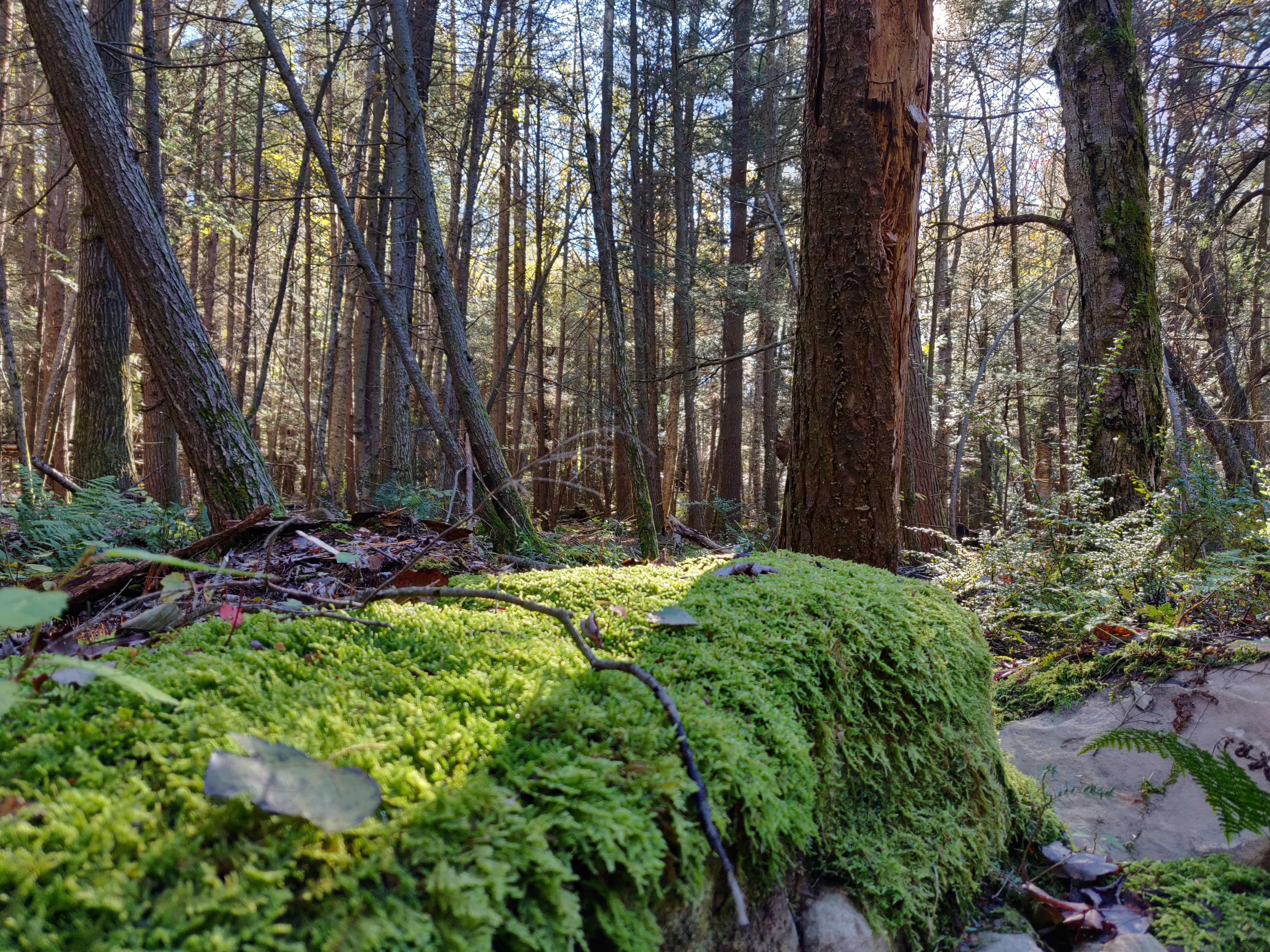 一加6t使用深度测评,一加6t屏幕指纹评测