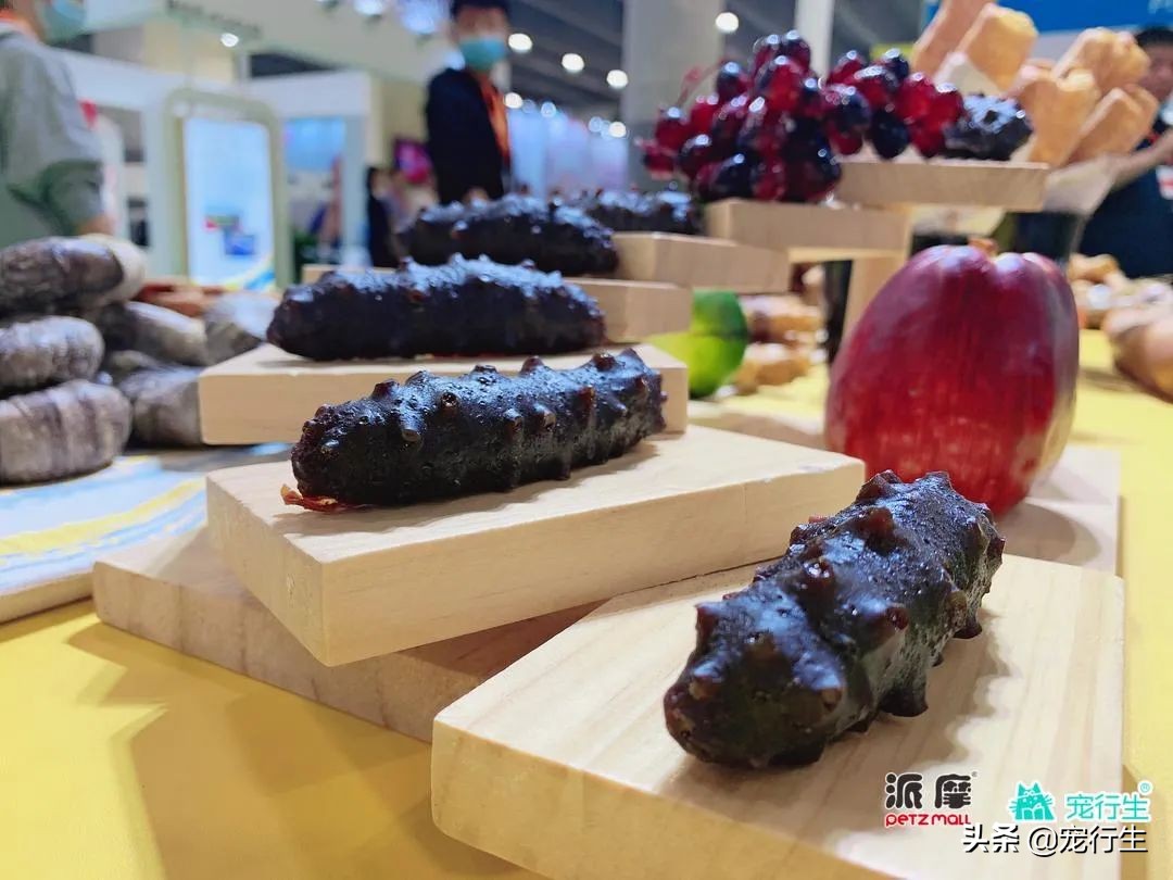 2020CIPS宠物展于广州开展，一大波萌物正在靠近