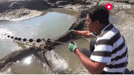 西瓜视频赶海活动,西瓜视频赶海