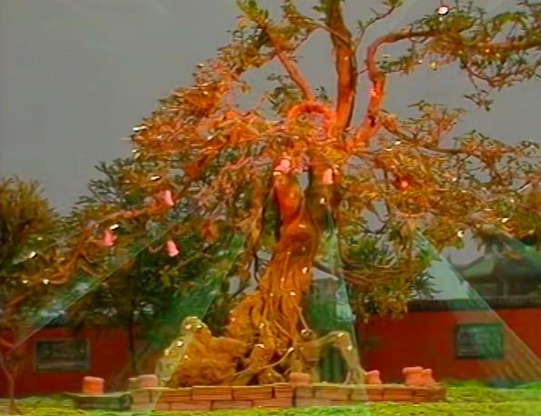 长生不老秘诀自古以来,三种长生不老法