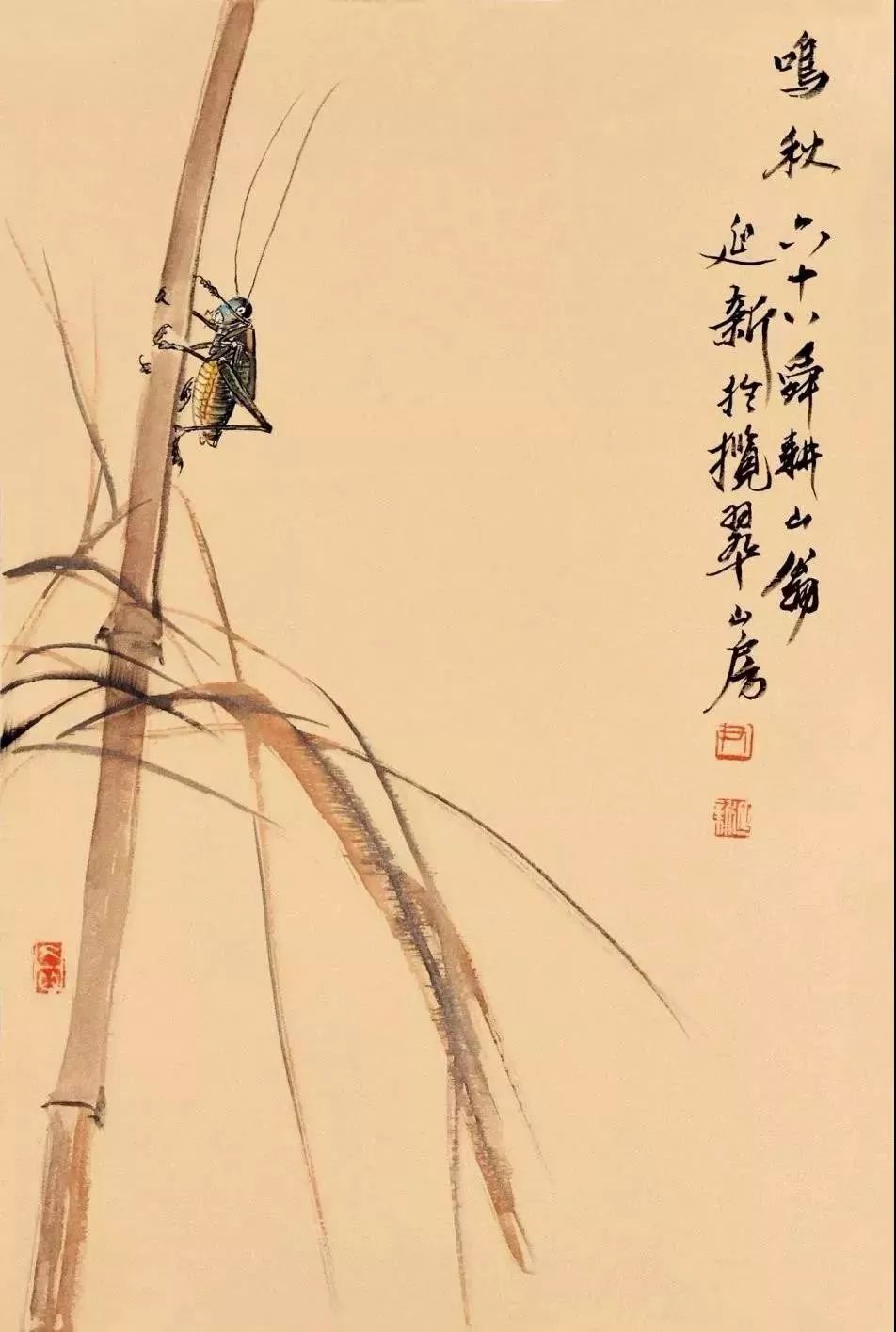 齐白石水墨小品欣赏,齐白石虫草长卷