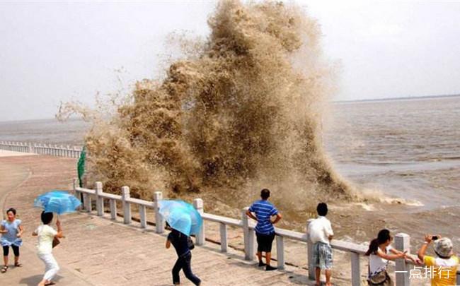 嘉兴乌镇风景区好玩吗,嘉兴乌镇旅游景点介绍