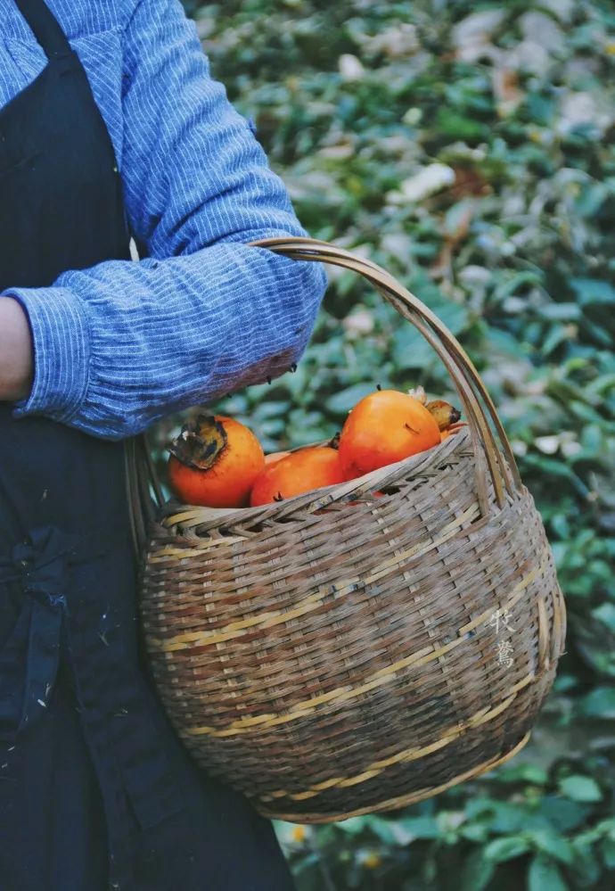 10年前，那个花83元穷游*藏西**的姑娘，后来怎么样了？