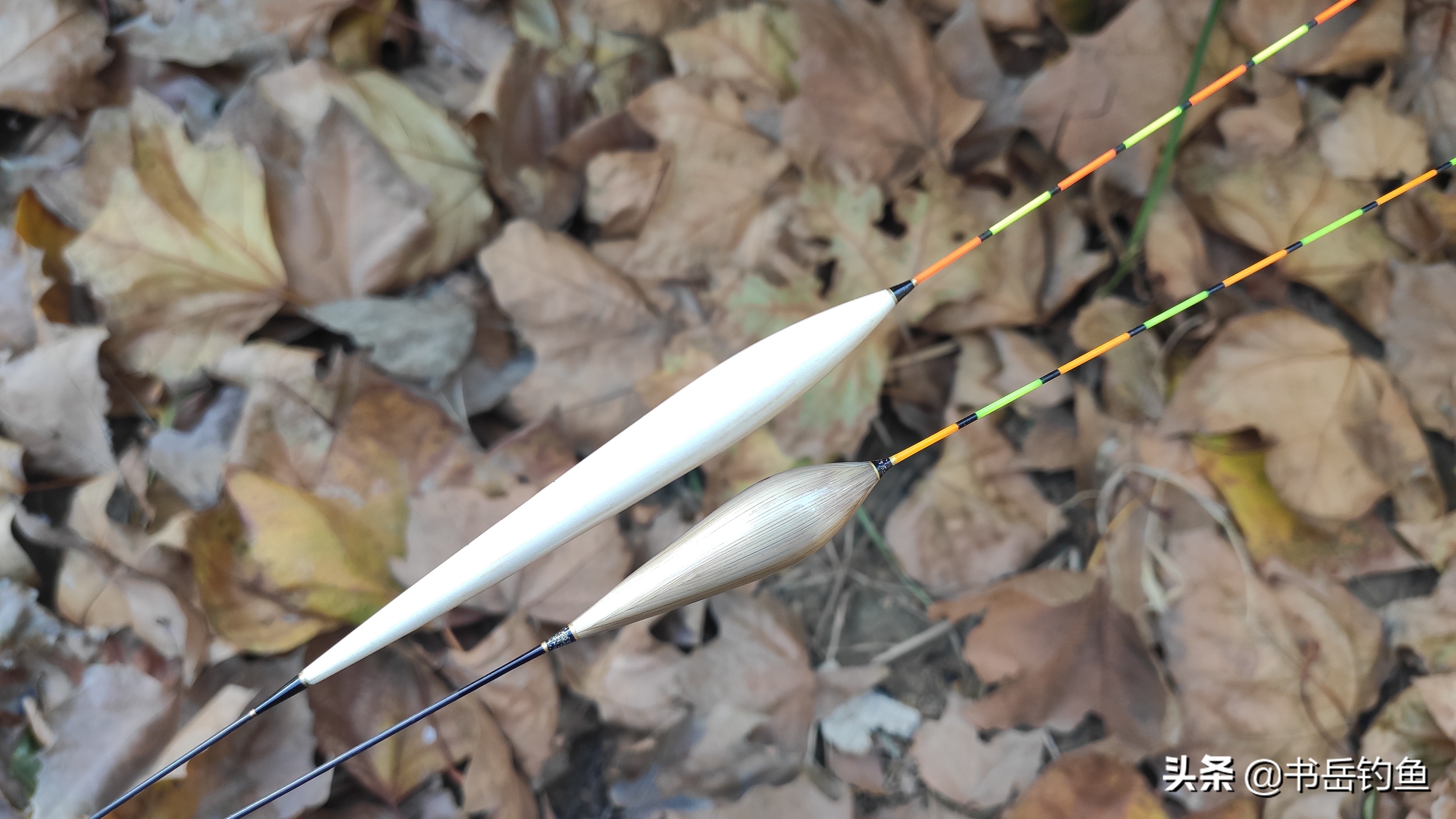 芦苇浮漂的优点和缺点,巴尔杉木浮漂的优点和缺点