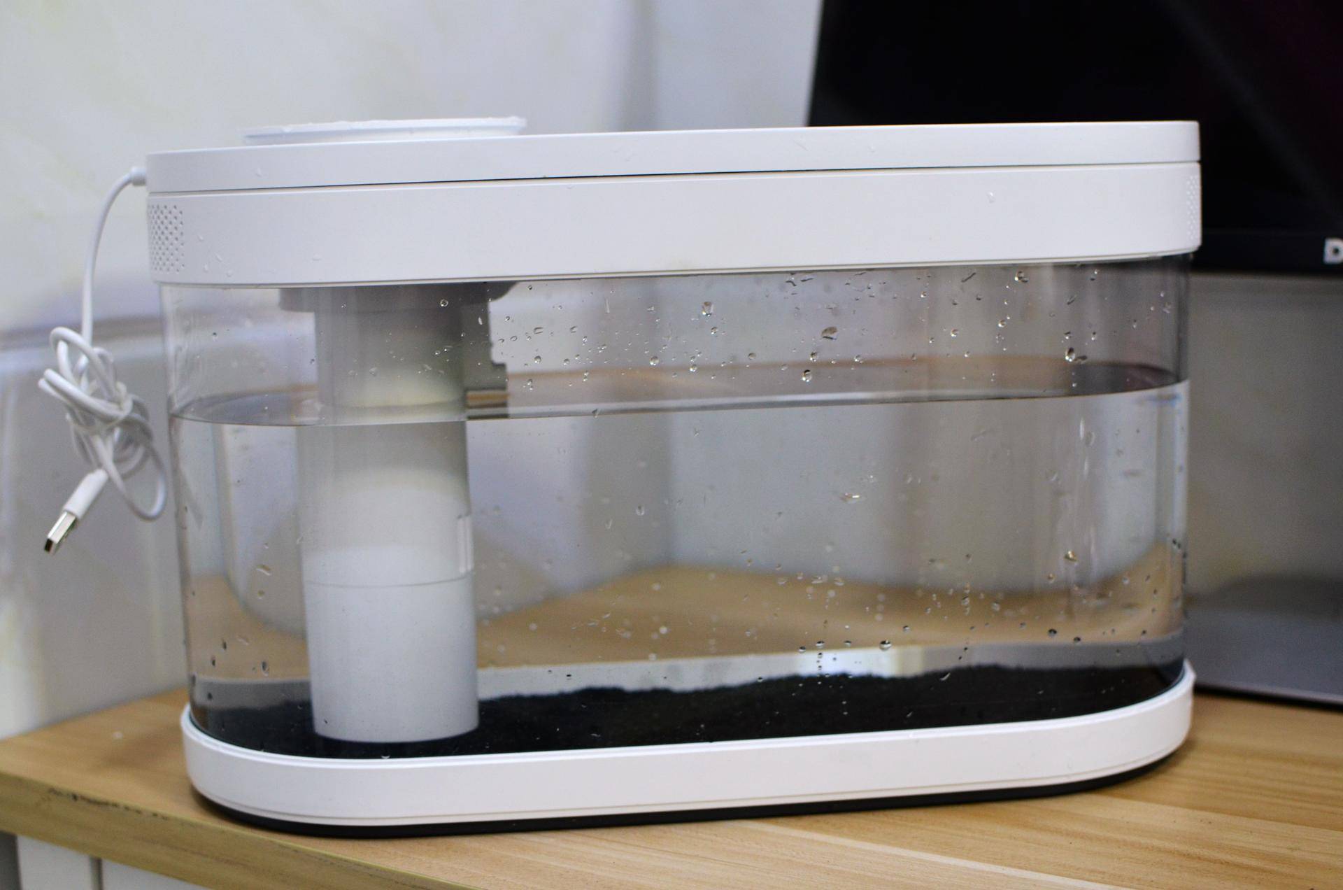 小米生态鱼缸养巴卡雷龙,小米生态缸养鱼入门基础教程