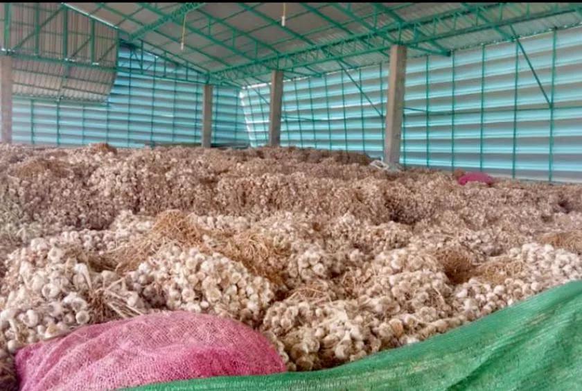 缅甸小洋葱最新价格,缅甸若开邦价格表