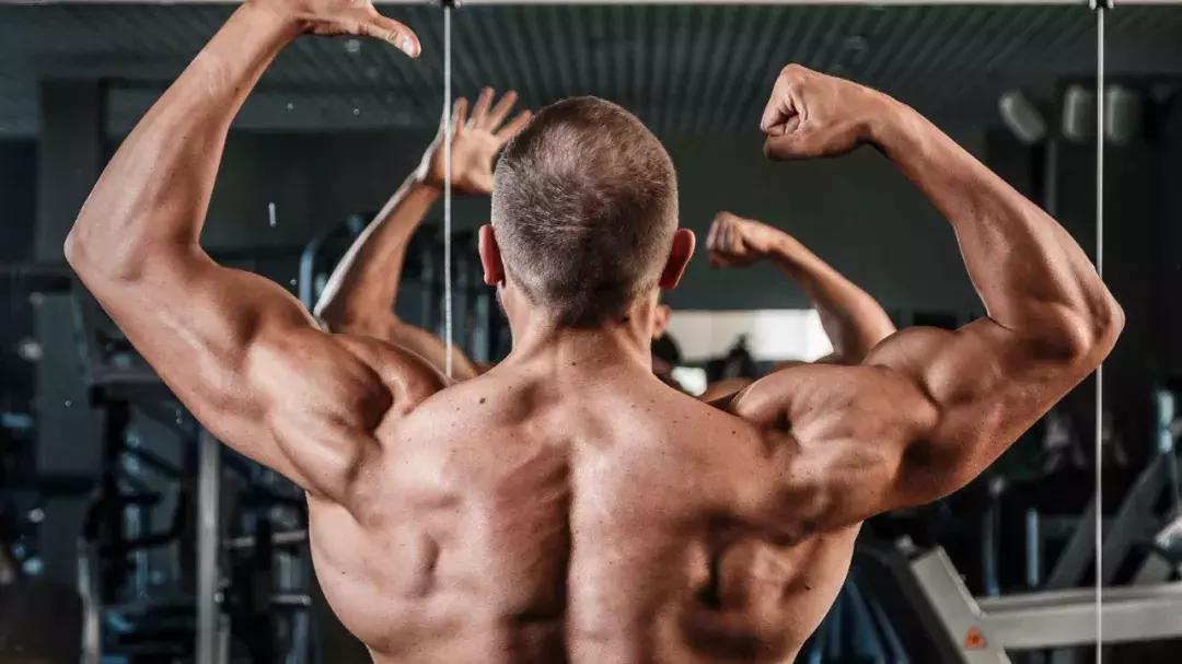 健身没进步成了心理负担,健身一直想要看到进步怎么办