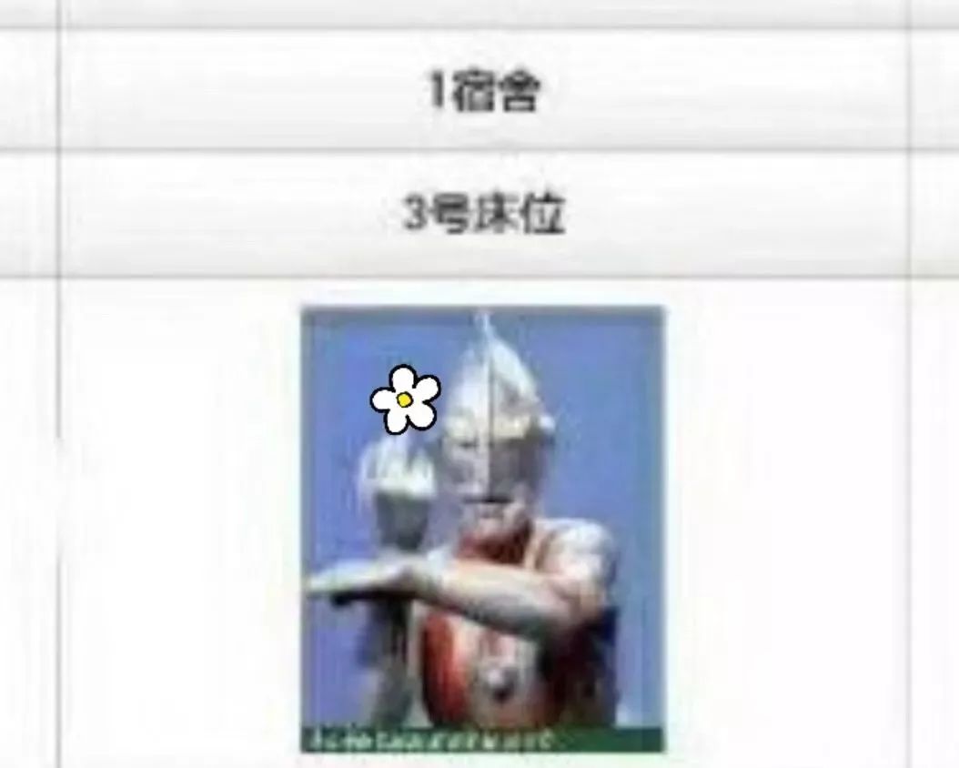 大工最新作品,工卡一卡通