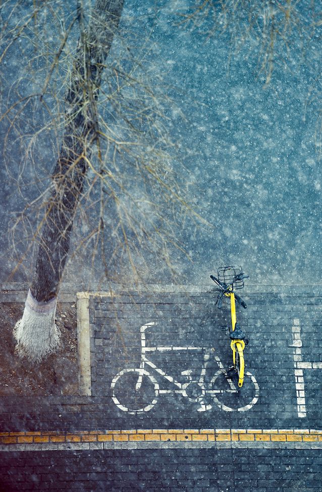 ofo共享单车坟场,ofo共享单车兴衰史