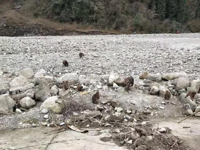 卧龙谷银厂沟,银厂沟两山合拢现状